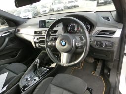 
										BMW X2-Petrol full									