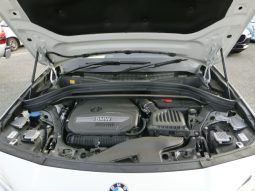 
										BMW X2-Petrol full									