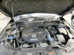 
										Mazda CX-8 full									