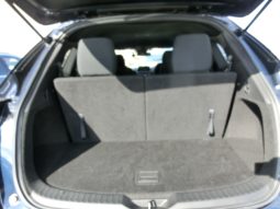 
										Mazda CX-8 full									
