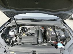 
										Volkswagen Tiguan full									