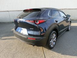 
										Mazda CX-30 full									