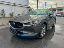 
										Mazda CX-30 full									