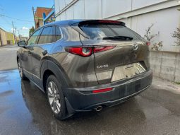 
										Mazda CX-30 full									