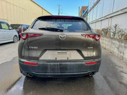 
										Mazda CX-30 full									