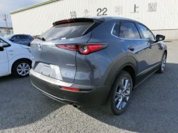 
										Mazda CX-30 full									