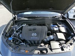
										Mazda CX-30 full									