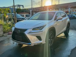 
										Lexus  NX 300 full									