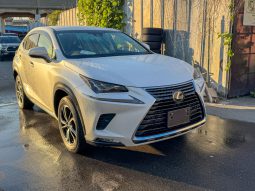 Lexus  NX 300