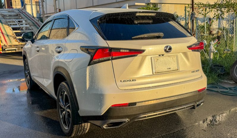 
								Lexus  NX 300 full									