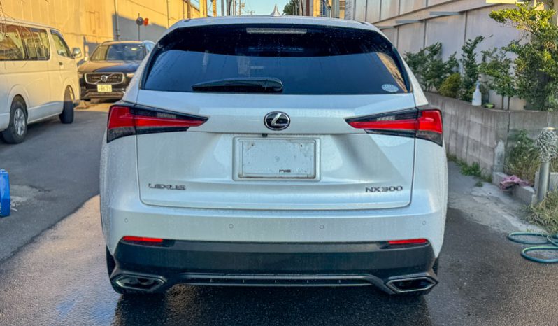 
								Lexus  NX 300 full									