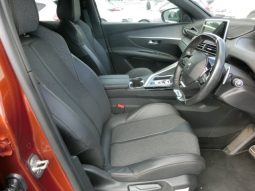 
										Peugeot 3008 full									