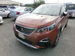 
										Peugeot 3008 full									