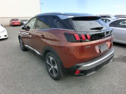 
										Peugeot 3008 full									