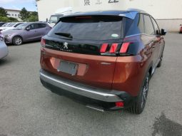 
										Peugeot 3008 full									