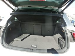 
										Volkswagen Tiguan full									