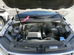 
										Volkswagen Tiguan full									