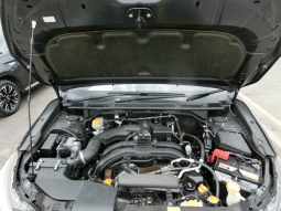 
										Subaru XV full									