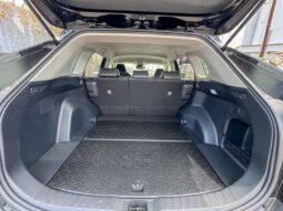 
										Toyota Rav4 full									