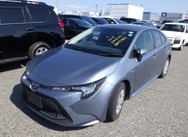 
								Toyota Corolla Sport full									