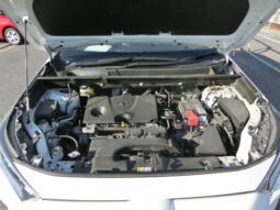 
										Toyota Rav 4 full									