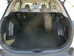 
										Toyota Rav 4 full									