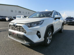 
										Toyota Rav 4 full									