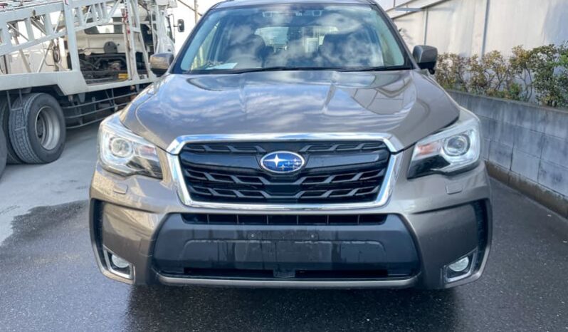 
								Subaru Forester full									