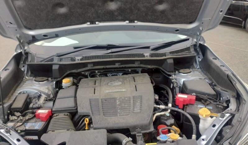 
								Subaru Forester full									