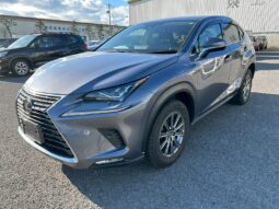 
										Lexus NX full									