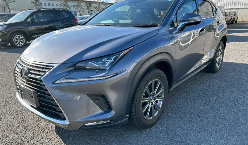 
								Lexus NX full									