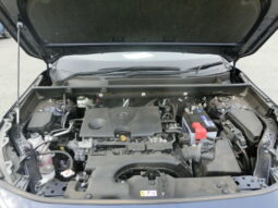 
										Toyota Rav4 full									