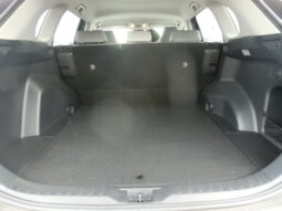 
										Toyota Rav4 full									