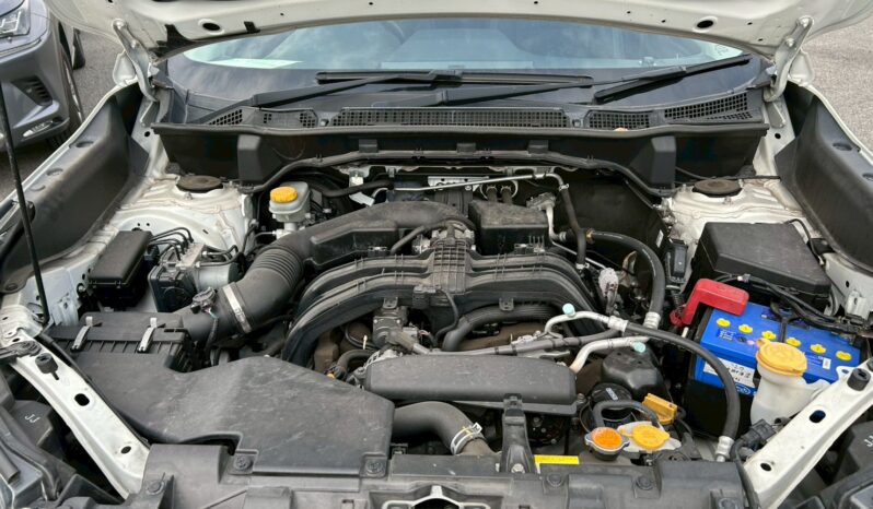 
								Subaru Forester full									