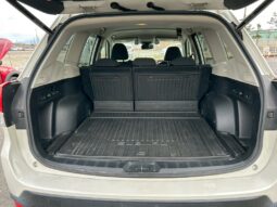 
										Subaru Forester full									
