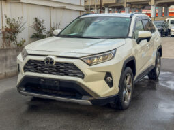 
										Toyota Rav4 full									