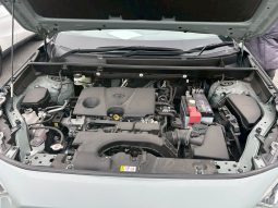 
										Toyota Rav4 full									