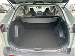 
										Toyota Rav4 full									