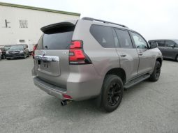 
										Toyota Prado full									