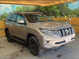 
										Toyota Prado full									