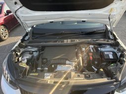 
										Peugeot 2008 full									
