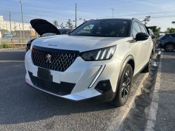 
										Peugeot 2008 full									