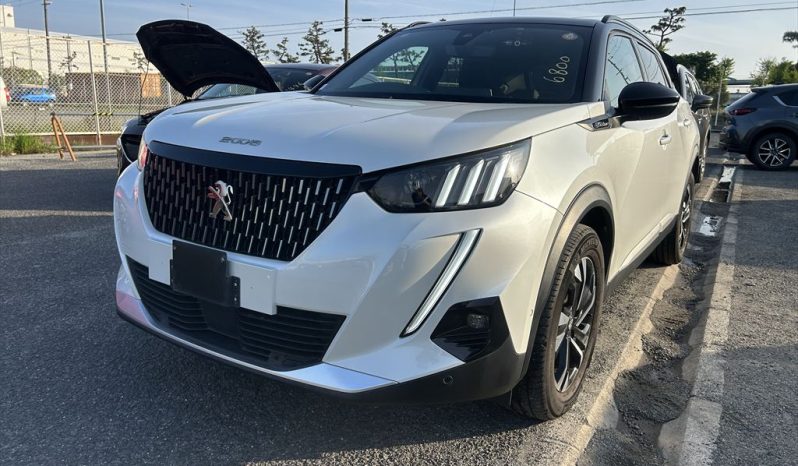 
								Peugeot 2008 full									