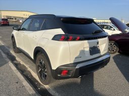 
										Peugeot 2008 full									