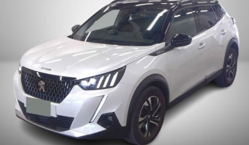 
								Peugeot 2008 full									