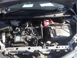
										Toyota Fielder full									