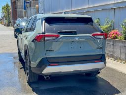 
										Toyota Rav4 full									