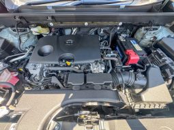 
										Toyota Rav4 full									