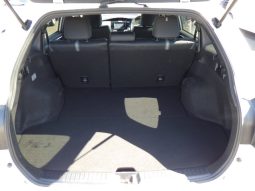
										Toyota Fielder full									