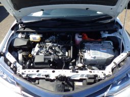 
										Toyota Fielder full									